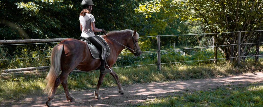 reitschule_runenstein (2 von 41)