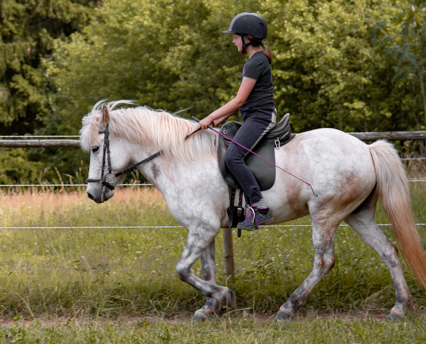 reitschule_runenstein (29 von 41)